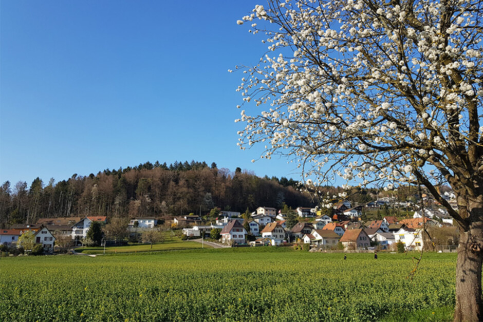 Gemeindeversammlung_5rp96ocziof.jpg Gemeindeversammlung_5rp96ocziof.jpg